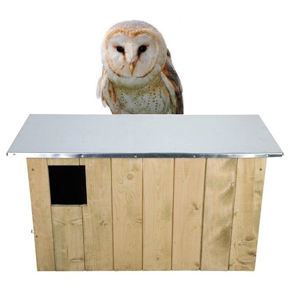 Esschert Design Rengastaja hulotte 85,5 x 37,3 x 44,3 cm