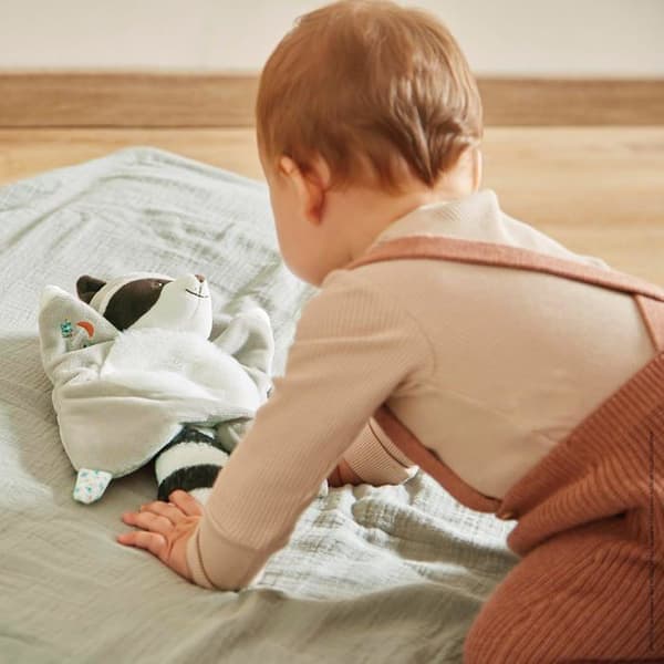 Doudou Raton Laveur Gaston - KALOO - Gosedjur/Doudous - Blå Grå