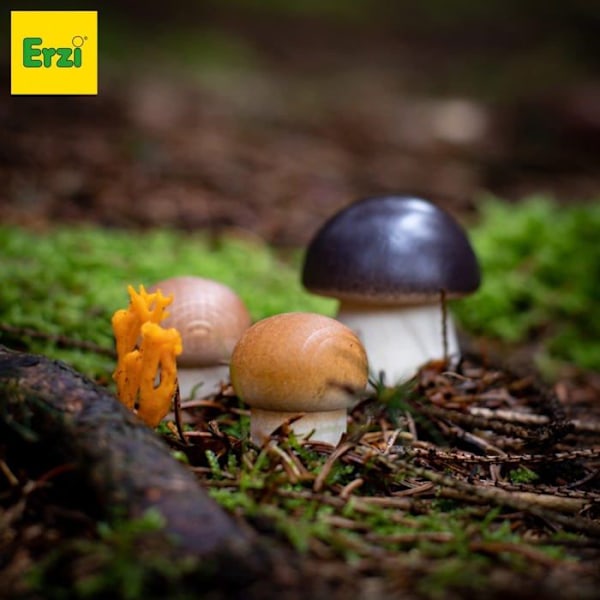 Erzi - Bolete kastanj