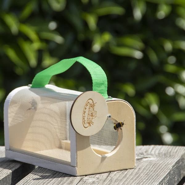 Insektobservationsboks i træ 20 cm beige