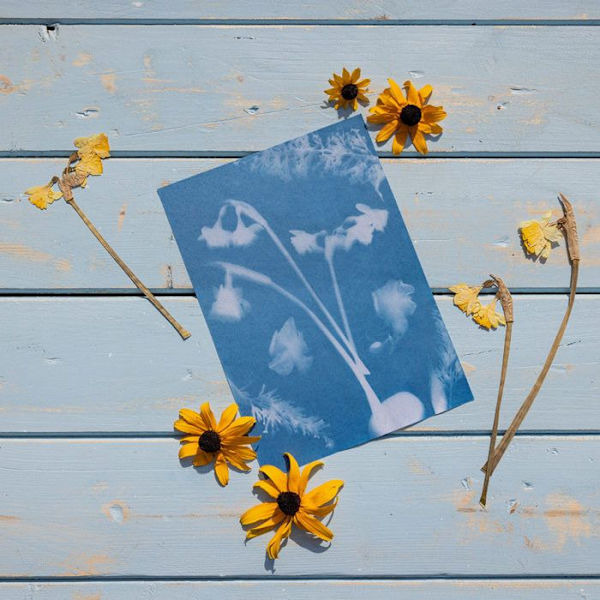 Esschert Design - DIY Paperi aurinkokuva A5 Grön
