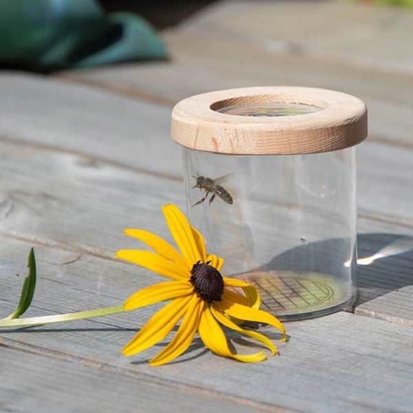 Insektobservationsboks Udendørs 7 cm