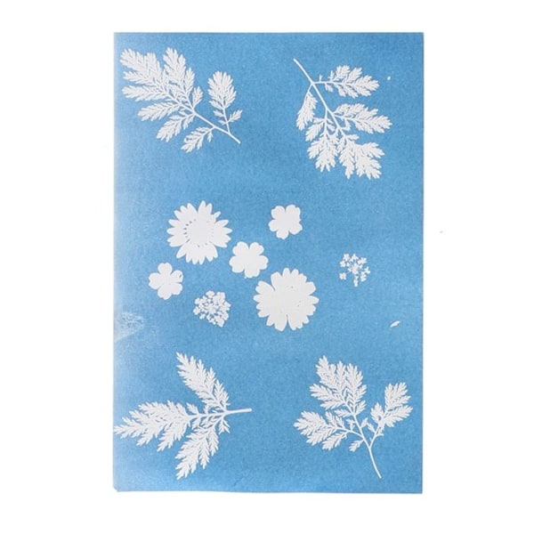 Esschert Design - DIY A4 solfotopapper Grön