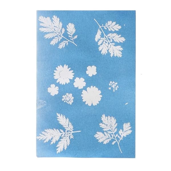Esschert Design - DIY Papir solfanger A4 Grön