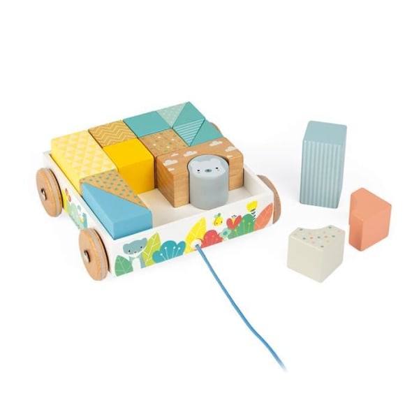 JANOD Pure Walking Cubes Trolley - Från 12 månader Mjuka färger