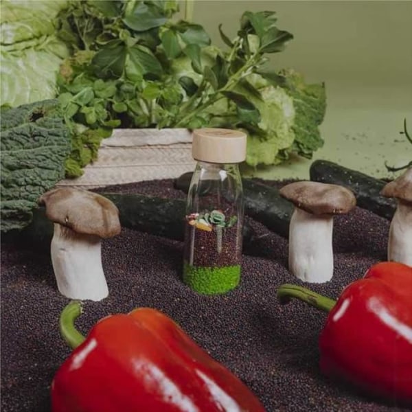 Lär dig grönsaker sensorisk flaska