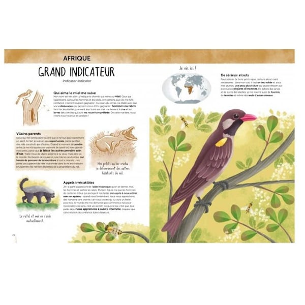 Sassi Junior - Biodiversiteetti Atlas - Erikoiset ja uteliat eläimet Vit
