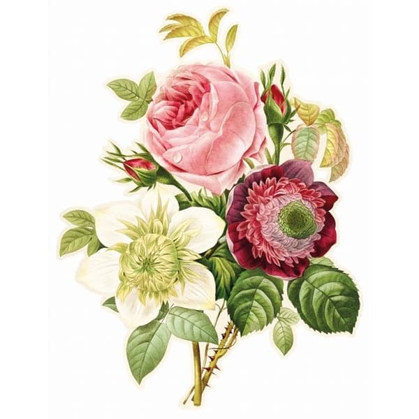 ROSENANEMONE OCH KLEMATIS Beige