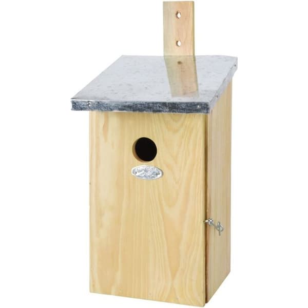 Blåmesar observatorium holk