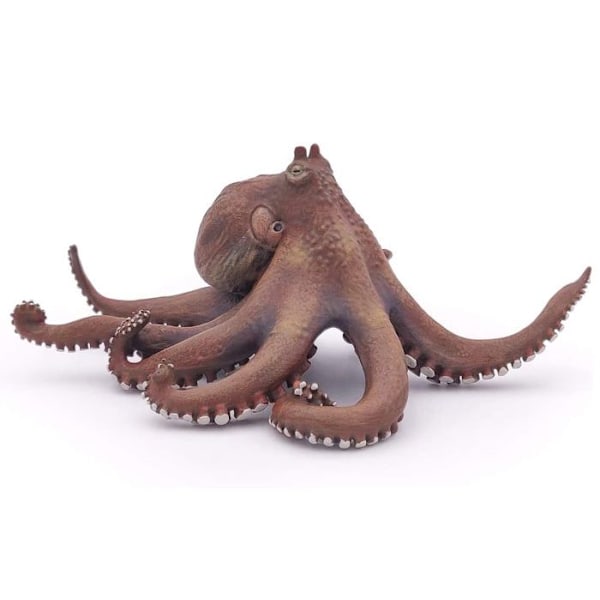 Octopus Figurine - PAPO - THE MARINE UNIVERSE - Mixed - Från 3 år Flerfärgad