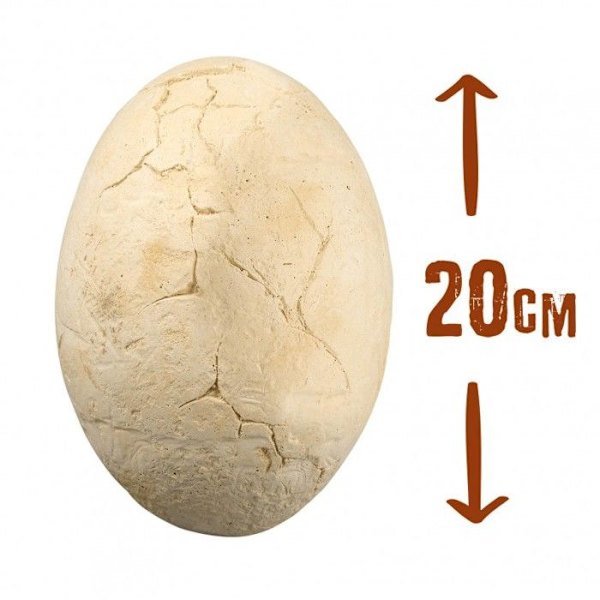 Dinosaur Dig Game - Buki - Mega Dino Egg - 4 Dinosaur Pussel - Verktyg ingår Flerfärgad