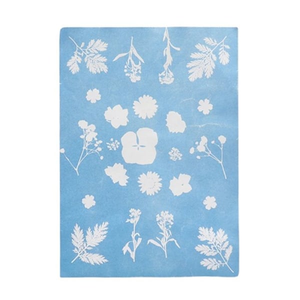 Esschert Design - DIY Paperi aurinkokuva A5 Grön