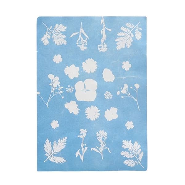 Esschert Design - DIY Papir solfanger A5 Grön