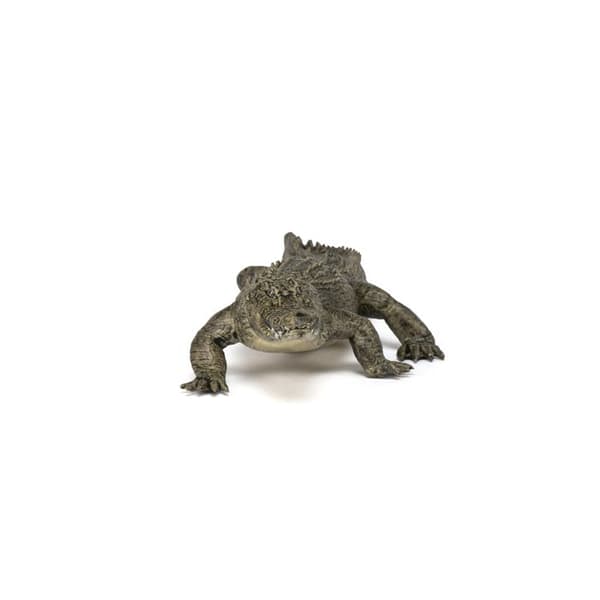 Figurine alligator Enfärgad