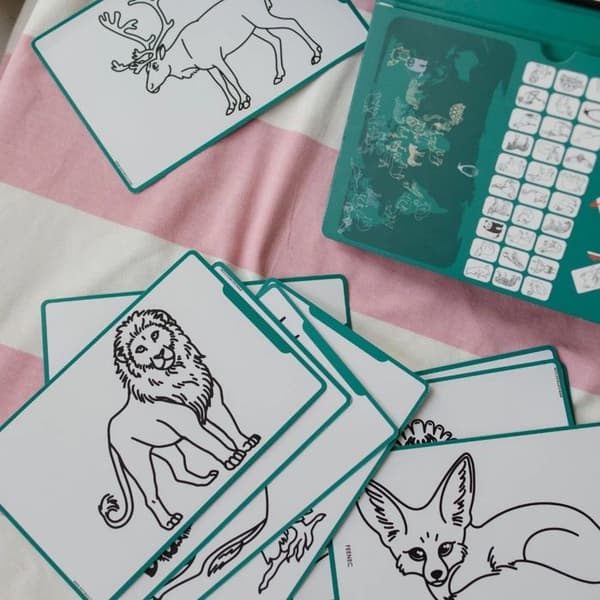 KIDIDRAW - Ritplatta med djur från hela världen Grön