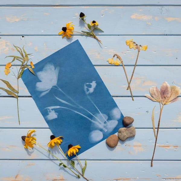 Esschert Design - DIY Papir solfanger A4 Grön