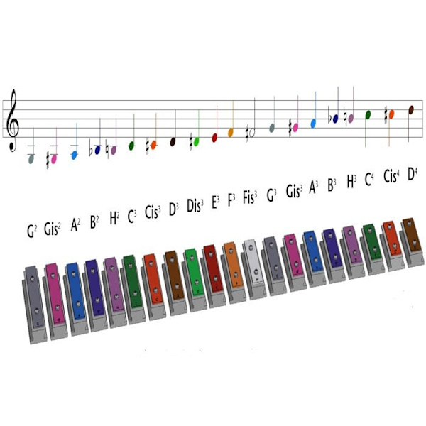 Xyloba - Xyloba ääni Cis3 - Do - VEHNÄKORN Orange