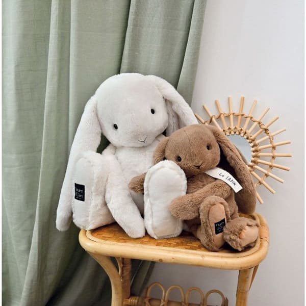 HISTOIRE D'OURS - Jänis Maalla 32cm Ruskea brun