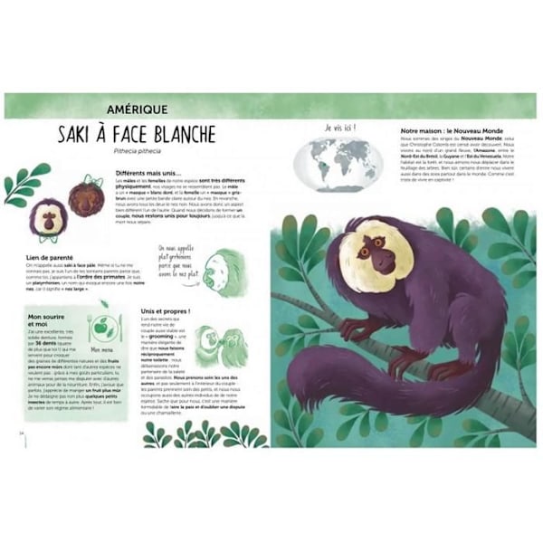 Sassi Junior - Biodiversiteetti Atlas - Erikoiset ja uteliat eläimet Vit