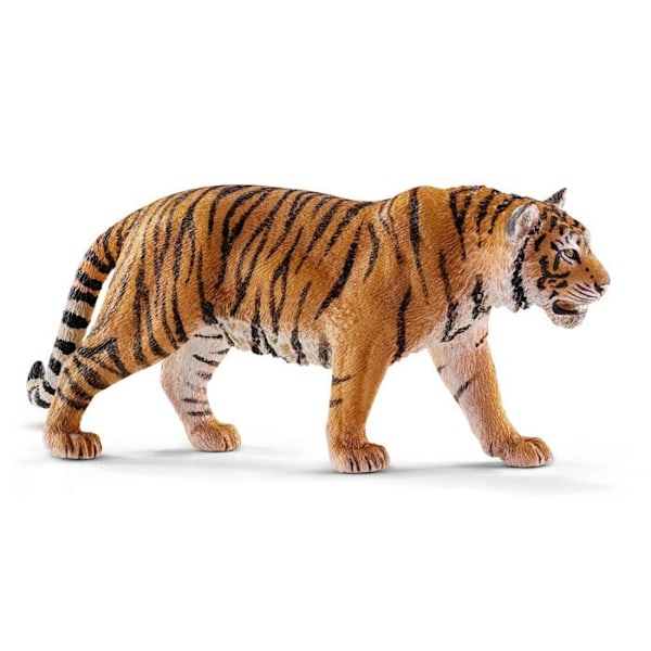 14729 - Bengalisk manlig tiger