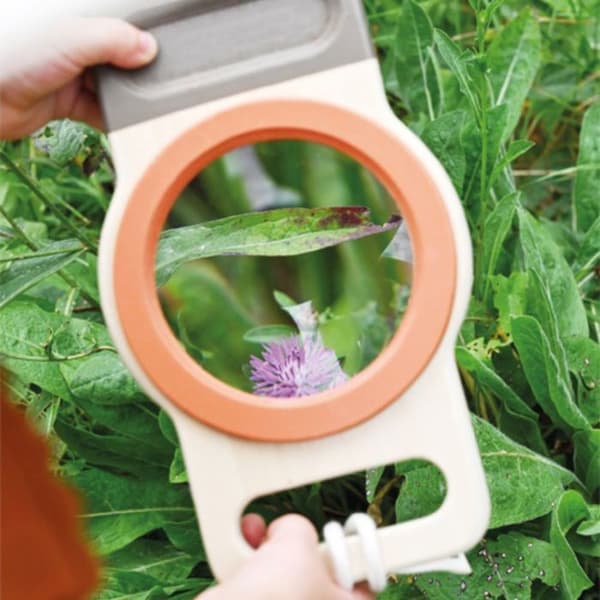 Loupe XXL puusta X 3