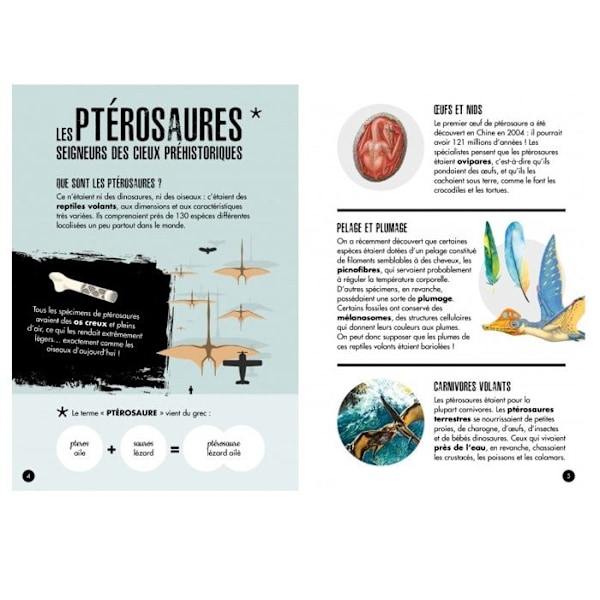 Sassi Junior - The Age of Dinosaurs - The Pteranodon kastanj