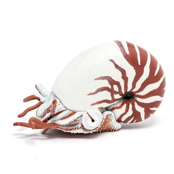 Papo - Nautilus statyett kastanj