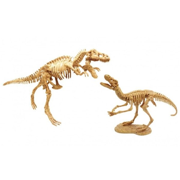 Dinosaurusten luurankojen kaivamis- ja kokoamispeli - BUKI FRANCE - Dino Dig - Sininen - Lapsi - Sekä pojille että tytöille