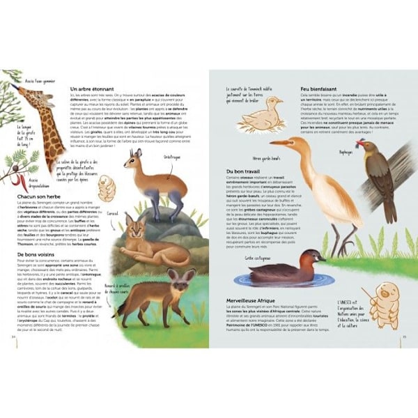 Biodiversiteettiatlas - Tuntematon merkki - Suojeltavat ekosysteemit