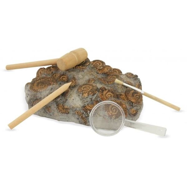 Kit Paleo : Gennem Tiderne