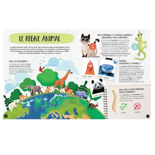 MEGA ATLAS - MEGA ATLAS ELÄIMISTÄ KOOSTUVAA LAATIKKOA Blå