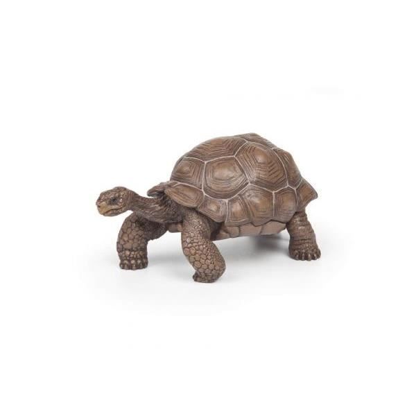 Galapagos sköldpaddsfigur - Papo - Wild Life Collection - Leksak för barn från 3 till 10 år gamla