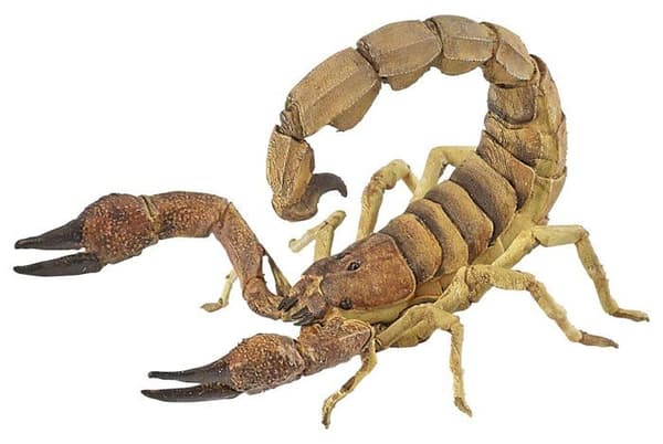 Papo - Skorpion Figur