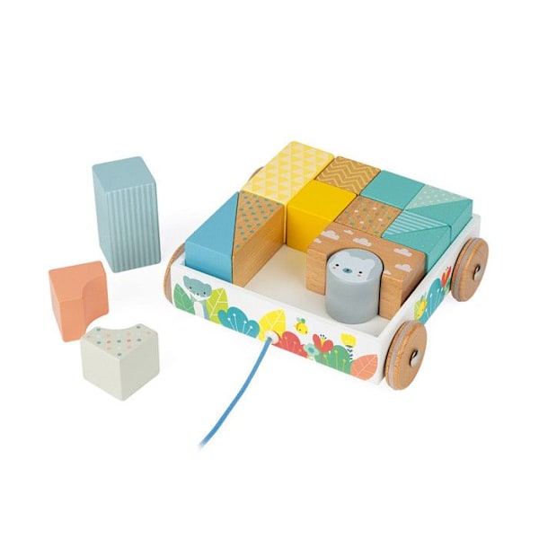 JANOD Pure Walking Cubes Trolley - Från 12 månader Mjuka färger