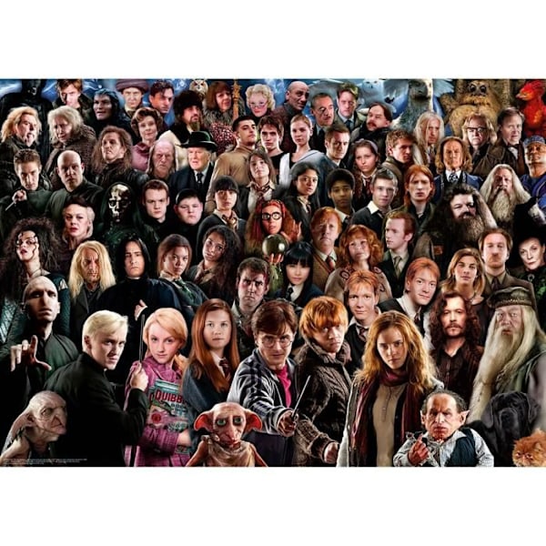 Pussel 1000 bitar: Harry Potter Vit