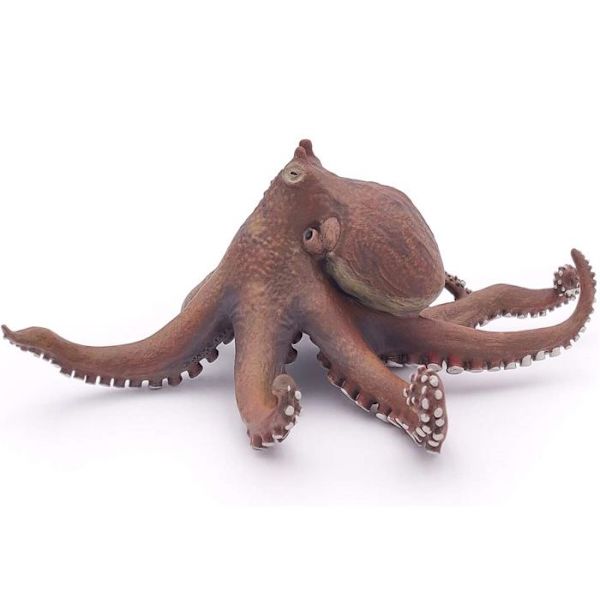 Octopus Figurine - PAPO - THE MARINE UNIVERSE - Mixed - Från 3 år Flerfärgad