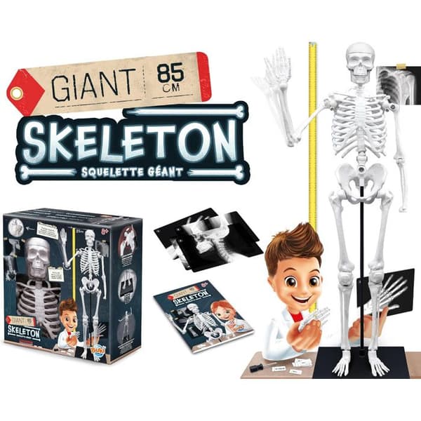 Buki - Skelet 85 Cm Buki