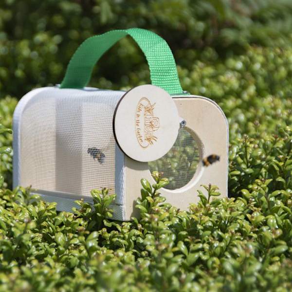 Insecttien tarkkailulaatikko - ESSCHERT DESIGN - 20 cm - Lapsille - Ulkokäyttöön - Beige Beige