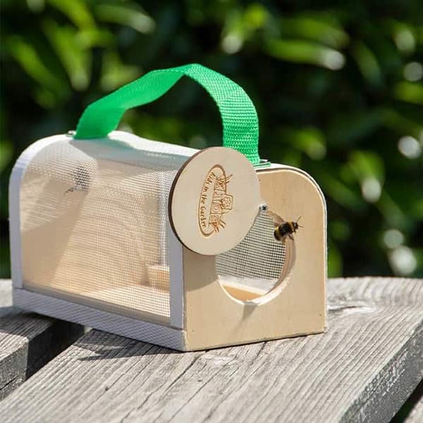 Insektobservationsboks i træ 20 cm beige
