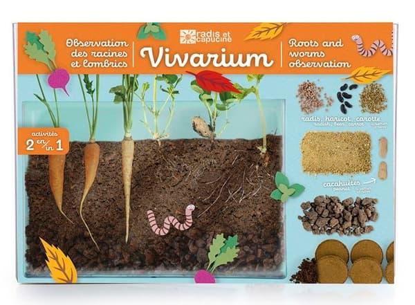 Visio Udforsk naturen - Opdagelse af rødder e… Ej specificerat