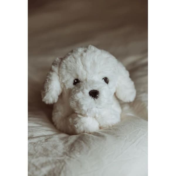 Plysch - BYASTRUP - Viktdocka - 0,6 kg - Vit - 33×20×14 cm Vit