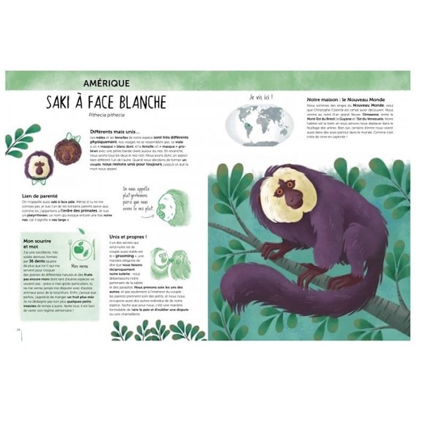 Sassi Junior - Biodiversiteetti Atlas - Erikoiset ja uteliat eläimet Vit