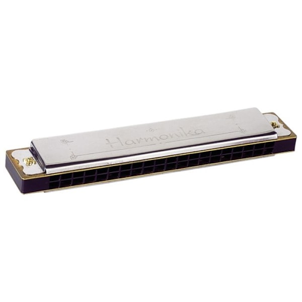 Harmonica - GOKI - 20 ton - 15,5 cm - I pappkartong - För barn