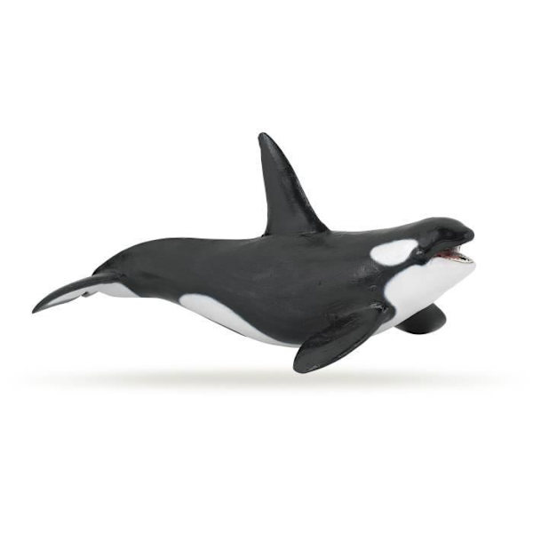 Orca Figurine - PAPO - THE MARINE UNIVERSE - Mixed - Interiör