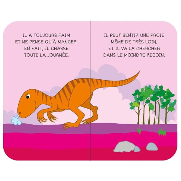 Ma Petite Bibliothèque - Sassi Junior - Dinosaurukset - 8 pientä kuvakirjaa - Pääväri: Musta Flerfärgad