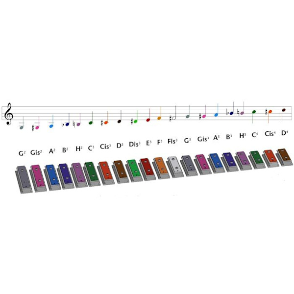 Xyloba - Xyloba ääni C3 - Do - WEIZENKORN Grön