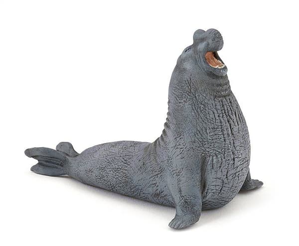 Merihaihvanukkeet
