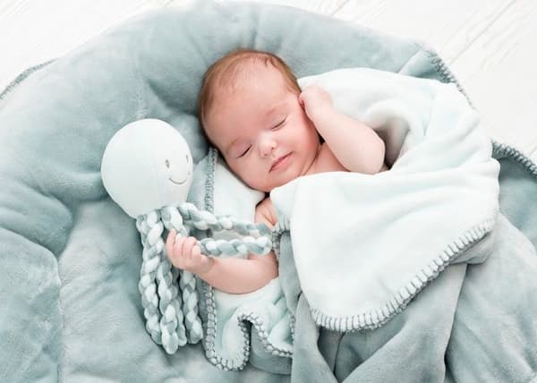NATTOU Doudou musiikkikirppu Lapidou - 100% polyesteri - Minttu vihreä ja harmaa Grå