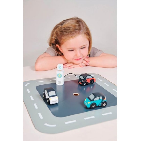 Tender Leaf Toys - Eco Car Set - DAM Vit