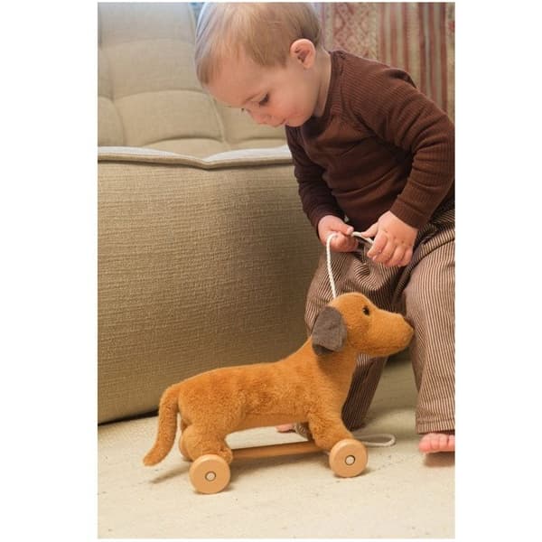 Træk legetøj - EGMONT TOYS - Edward - Brun - Træ & polyester - 12 måneder+ brun